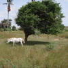 Photo 21/23