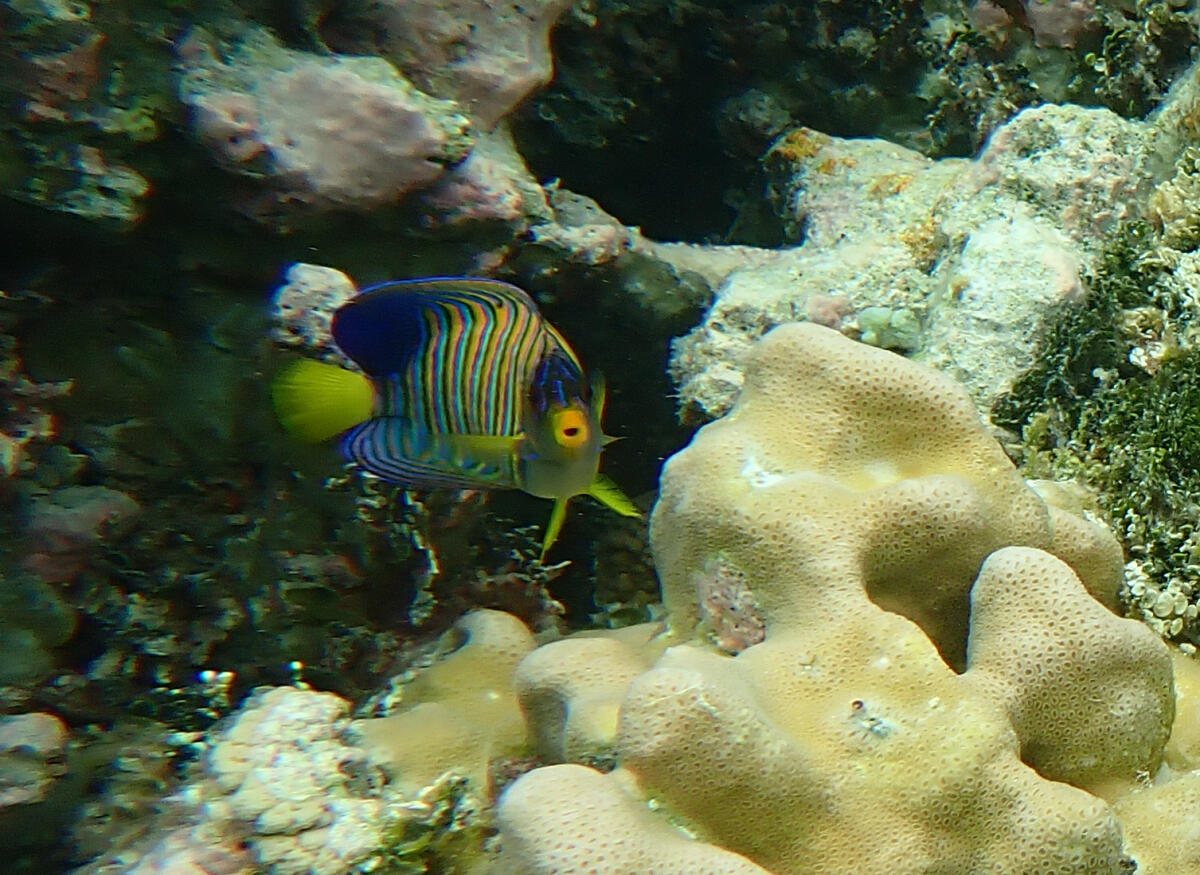 Pictures of Sorol Atoll » Pitufa.at