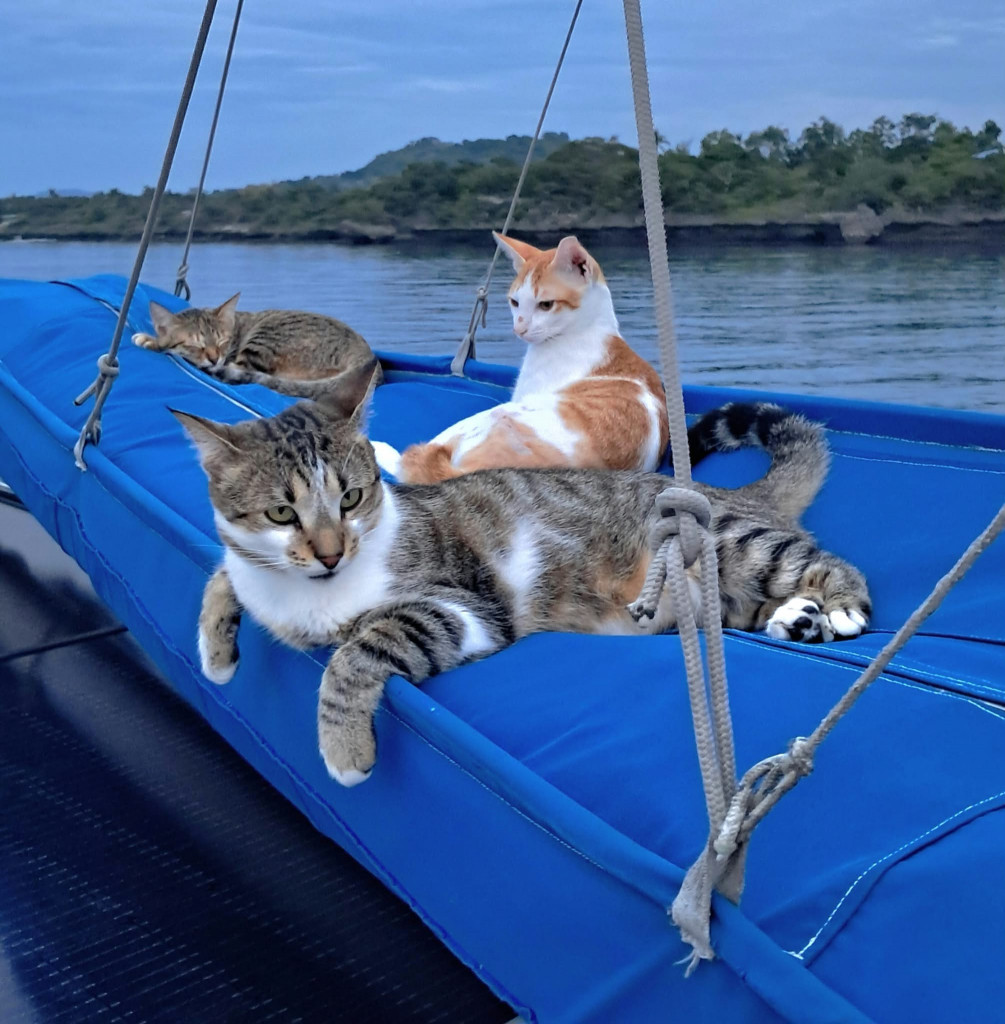 F_WhatsApp Image 2026-09-30 at 17.14.20